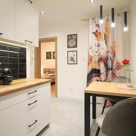 Premium Apartment - Red Rose - Self Check-In Rzeszów Zewnętrze zdjęcie